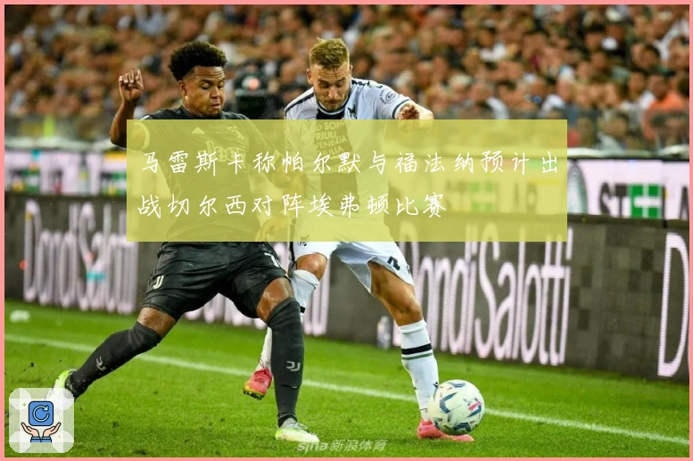 马雷斯卡称帕尔默与福法纳预计出战切尔西对阵埃弗顿比赛