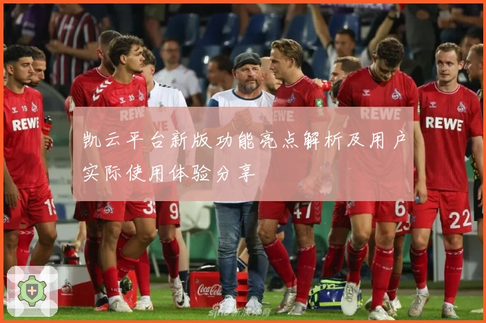 凯云平台新版功能亮点解析及用户实际使用体验分享